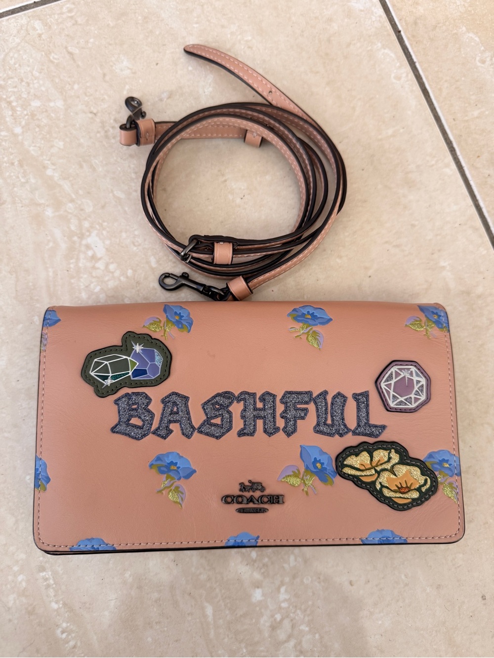COACH × DISNEY Dark Fairy Tale Bashfull Foldover Crossbody Bag Clutch